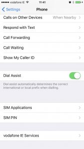 SIM Toolkit app menu on iOS